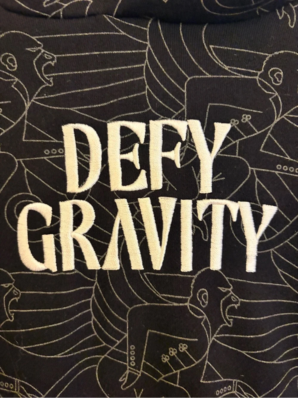 Wicked Defy Gravity Hoodie Paul Tazewell Graphic Pullover youth XL Universal